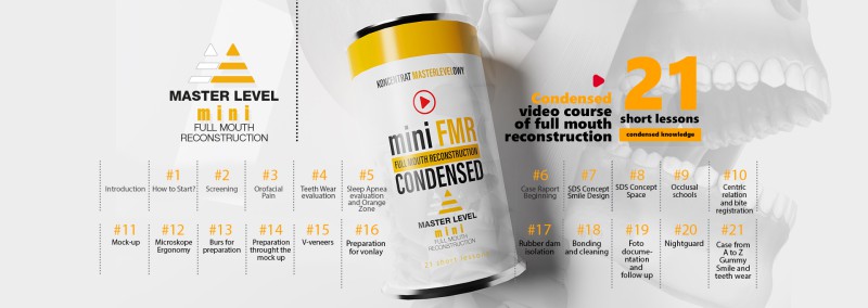 Master Level: WebinAR, MINI FMR