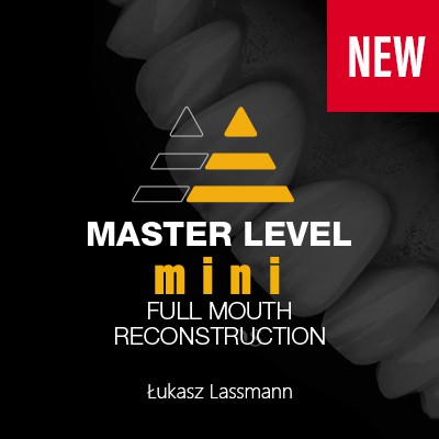 Master Level: WebinAR, MINI FMR